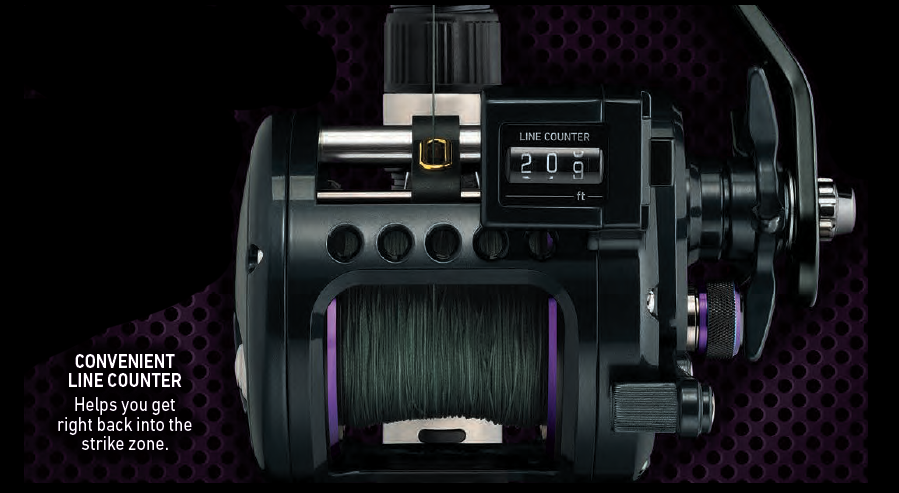 PROREX LWLC