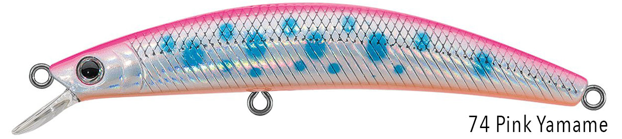 DR.MINNOW JERKBAITS