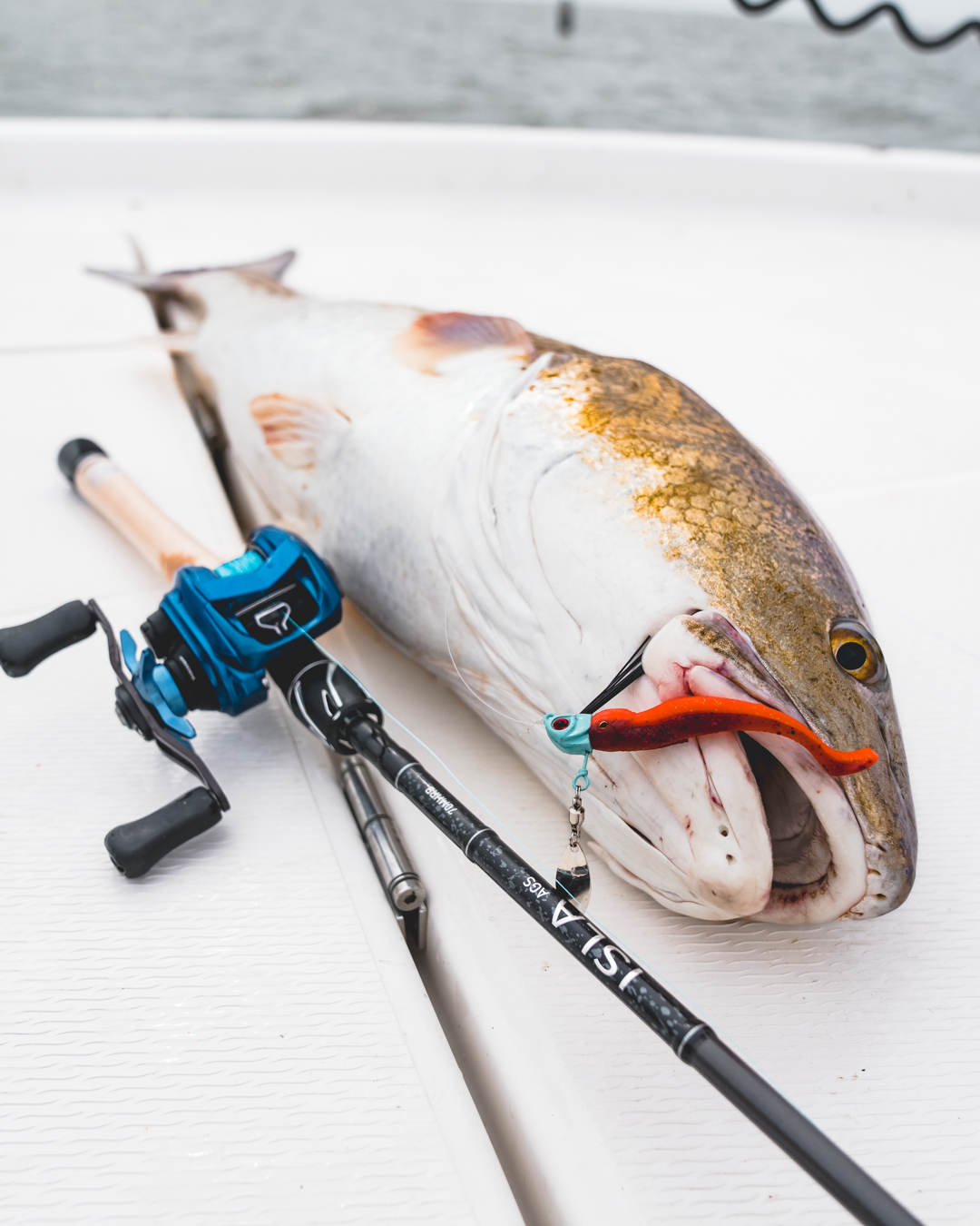 ISLA AGS INSHORE RODS