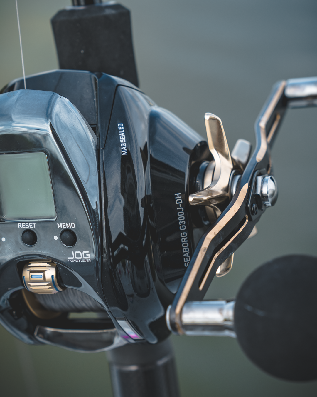 SEABORG™ 300J-DH
