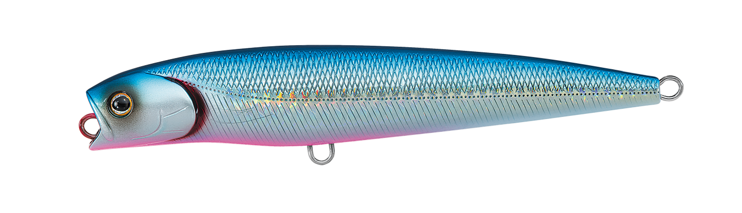 SALTIGA DORADO PENCIL