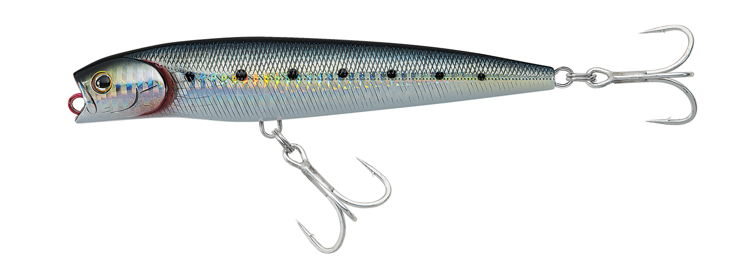 SALTIGA DORADO PENCIL