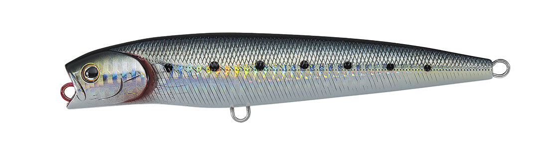 SALTIGA DORADO PENCIL