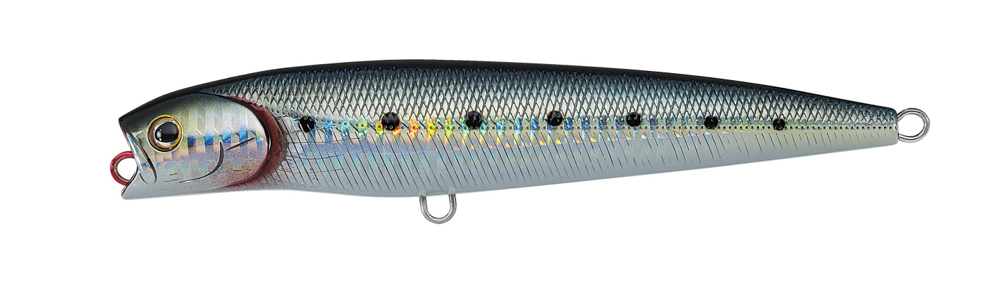 SALTIGA DORADO PENCIL