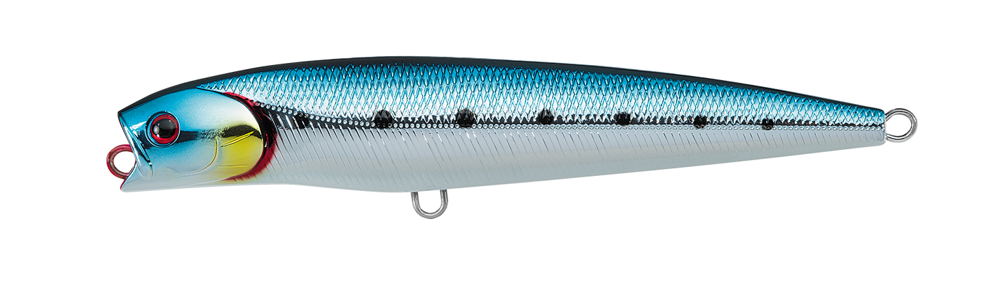 SALTIGA DORADO PENCIL
