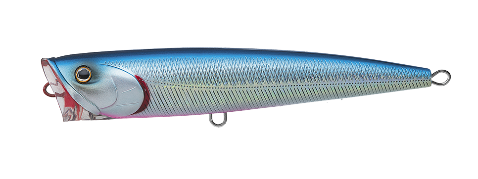 SALTIGA DORADO POPPER