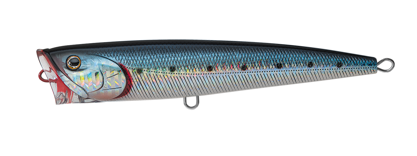 SALTIGA DORADO POPPER