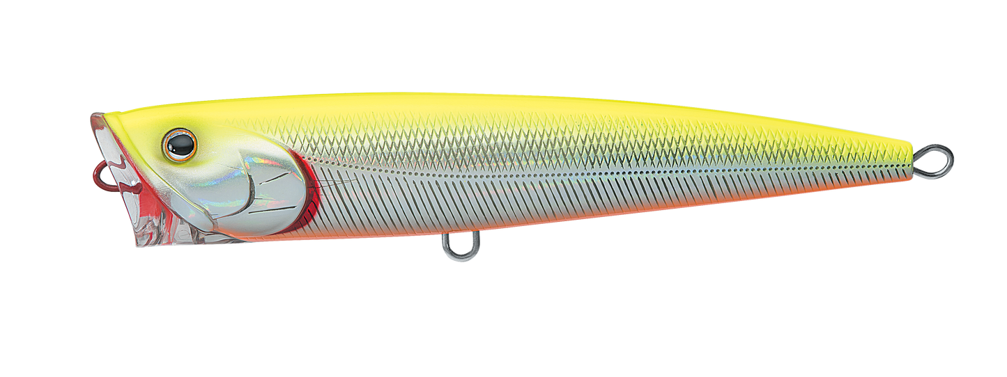 SALTIGA DORADO POPPER