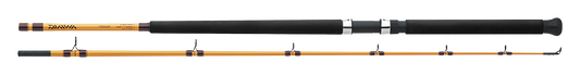 FT BOAT & SURF RODS