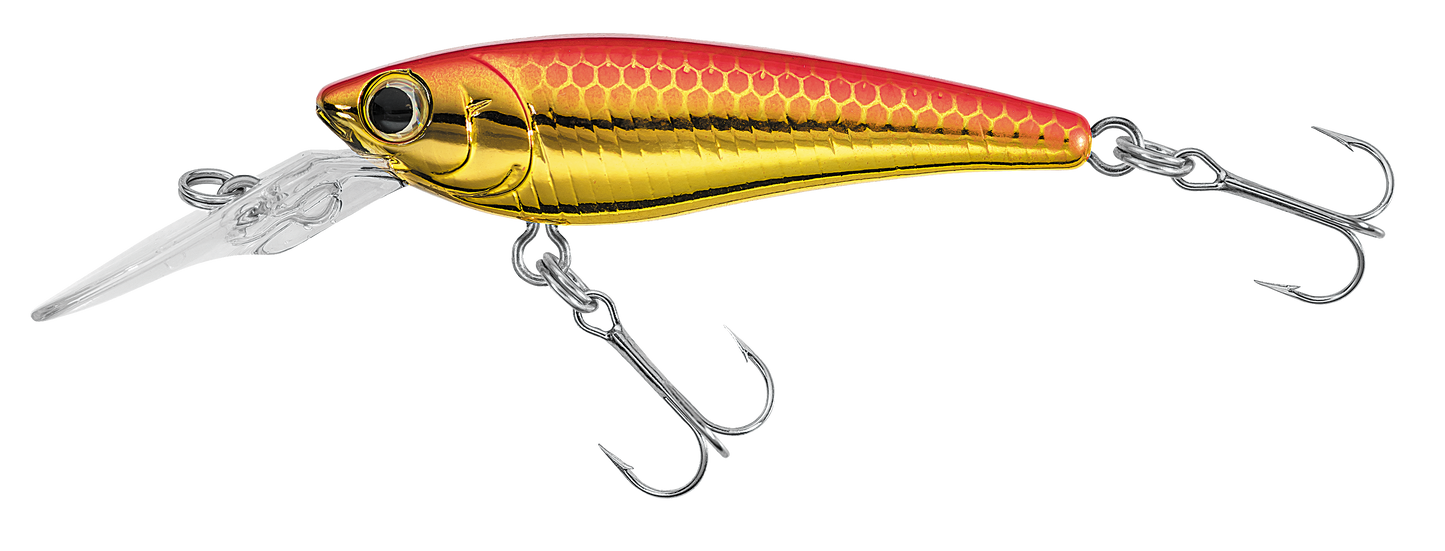 SC SHAD
