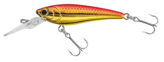 SC SHAD