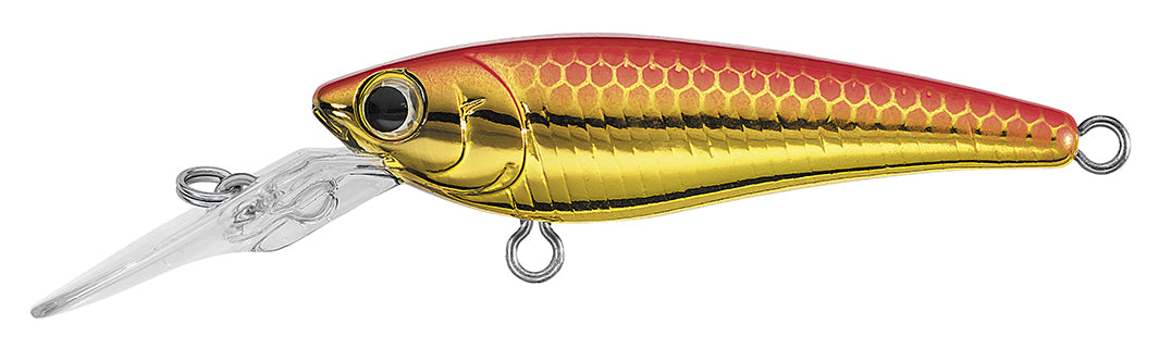 SC SHAD