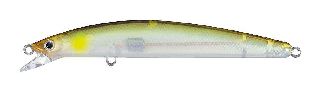 TD MINNOW