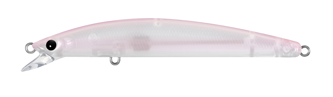 TD MINNOW