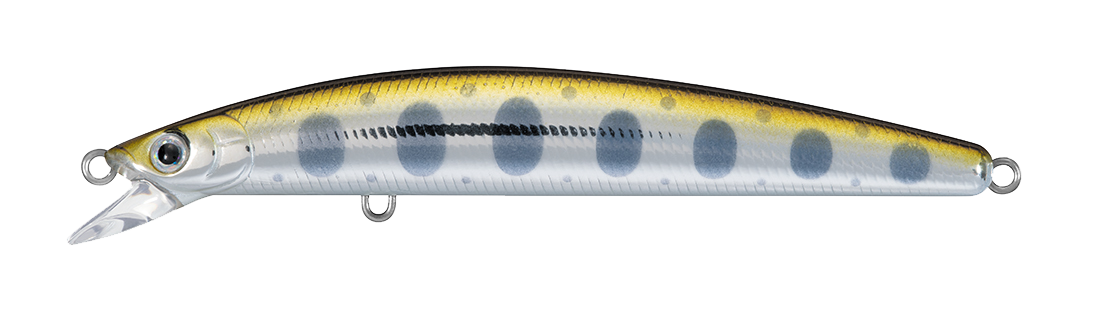 TD MINNOW