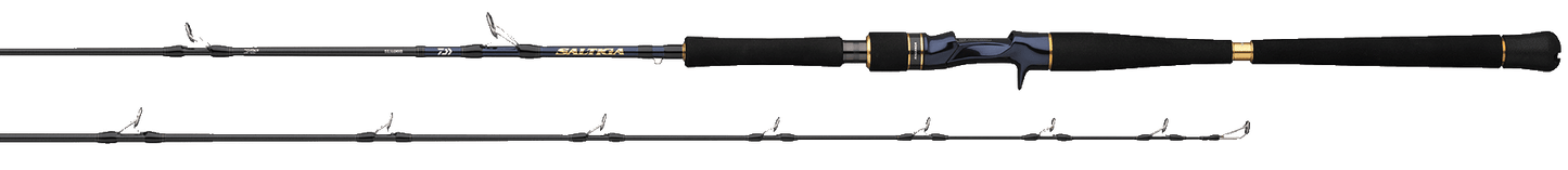 SALTIGA JIGGING RODS